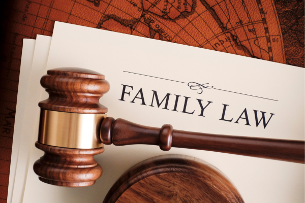 Family Law Lawyer in Virginia