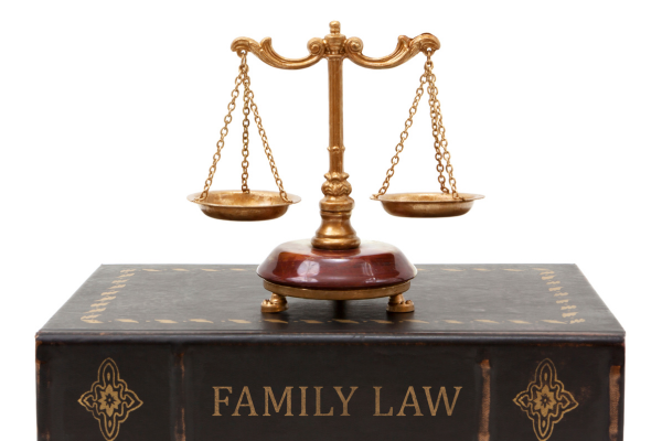 Read more about the article Top 10 Questions to Ask When Choosing a Family Law Attorney