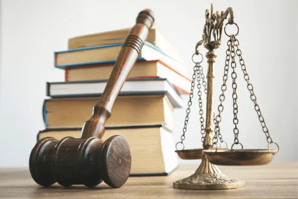 business-litigation-lawyer